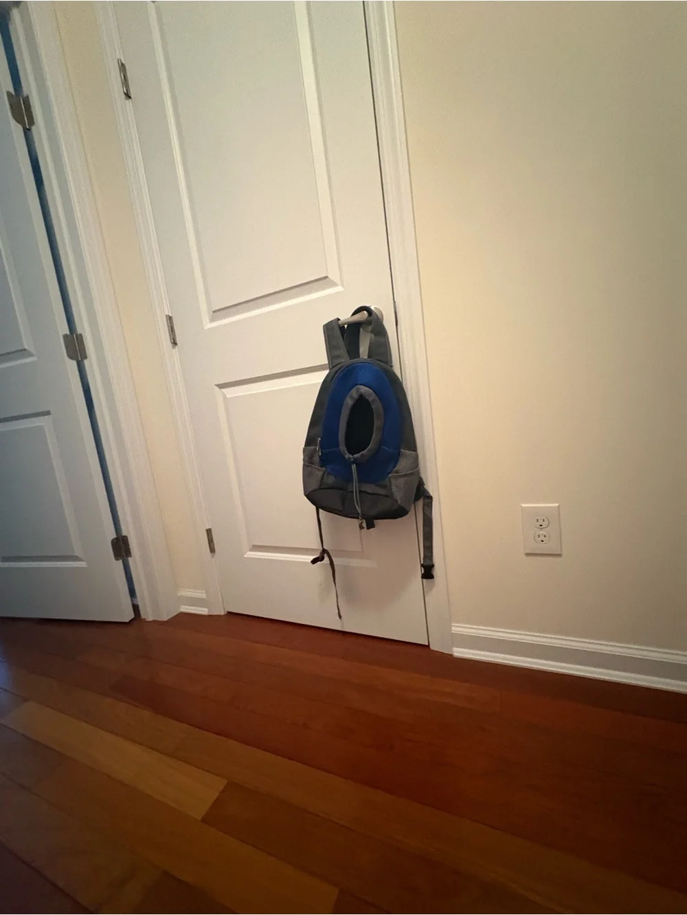 Blue Dog Sling Carrier Backpack - Comfortable Pet Travel Bag